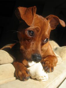Thor_minpin